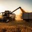Descarga de grano de la cosechadora CX-8070 en una explotación agrícola